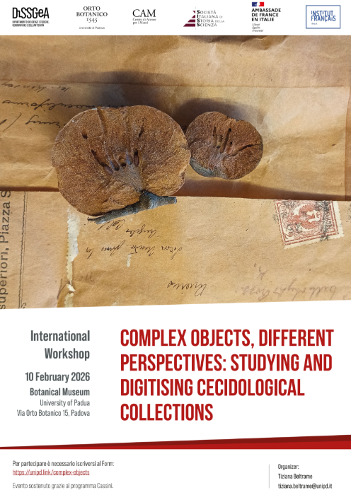 Screenshot 2026 01 23 155854