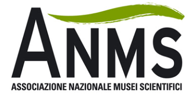 Screenshot 2026 04 07 185541